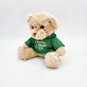 Teddy Bear - Cheeky Plant Co.