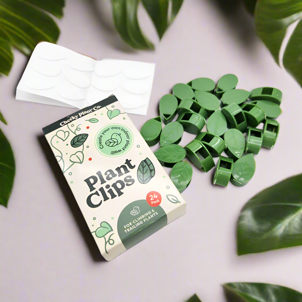 Plant Clips - Pack of 24 - Cheeky Plant Co.