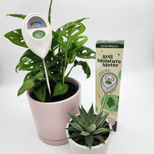 Load image into Gallery viewer, Fucculent Survival Kit - Plant Care Bundle
