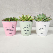 Load image into Gallery viewer, Trio Assorted Succulents in Positive Pots (11cmDx11cmH) - Sydney Only
