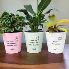 Load image into Gallery viewer, Trio Assorted Indoor Plants in Positive Pots (11cmDx11cmH) - Sydney Only
