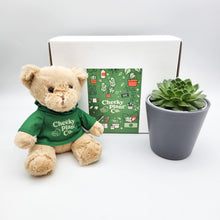 Load image into Gallery viewer, Teddy Bear &amp; Succulent Gift Box
