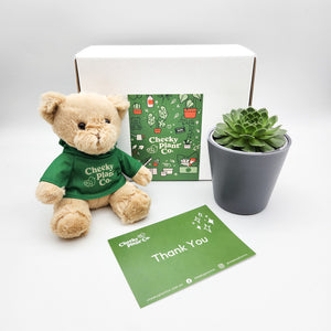 Teddy Bear & Succulent Gift Box