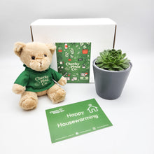 Load image into Gallery viewer, Teddy Bear &amp; Succulent Gift Box

