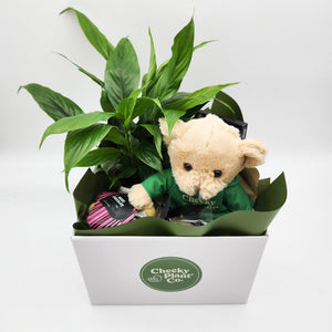 Thinking of You Gift Hamper - Better than Flowers - Sydney Only