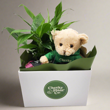 Load image into Gallery viewer, Thinking of You Gift Hamper - Better than Flowers - Sydney Only
