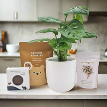 Load image into Gallery viewer, Loving You - Plant Gift Hamper - Sydney Only

