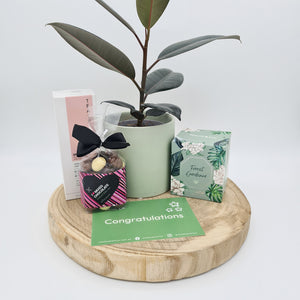 Congrats on Your Baby - Plant Gift Hamper - Sydney Only