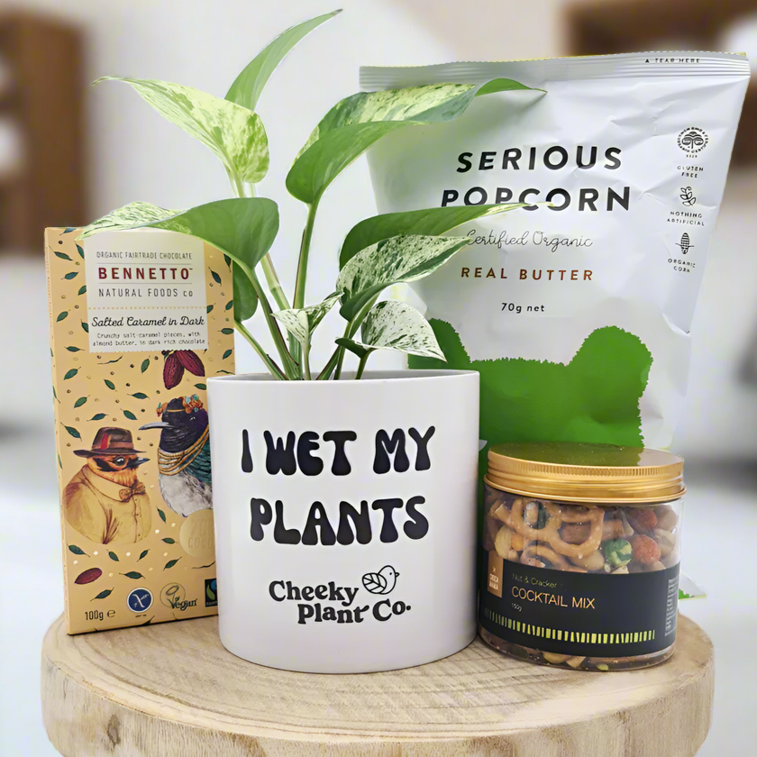 I Wet My Plants - Treat Yourself Plant Gift Hamper - Sydney Only