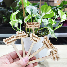 Load image into Gallery viewer, Happy Houseplants  - Plant Lover Bundle
