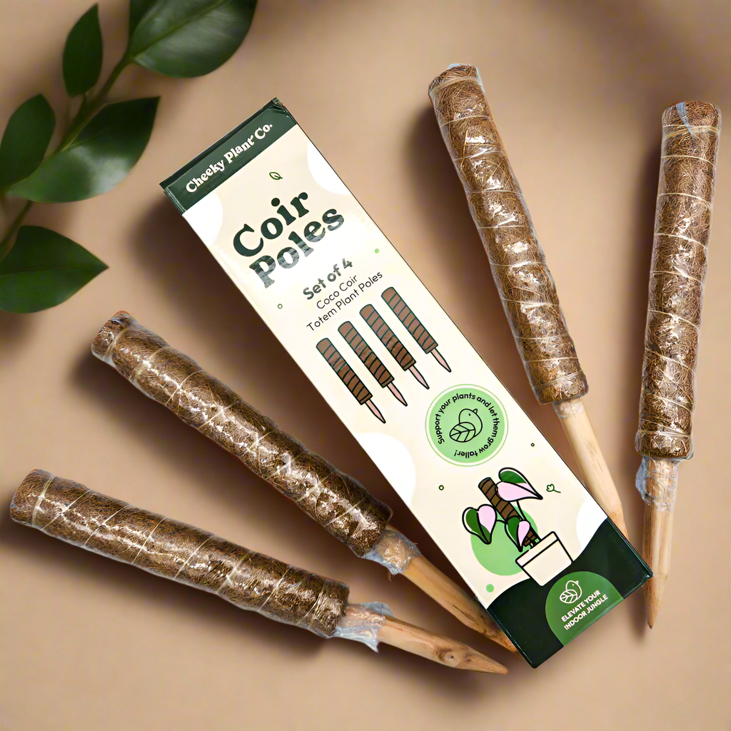 Coco Coir Totem Plant Poles (Pack of 4) - Cheeky Plant Co.