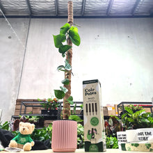 Load image into Gallery viewer, Ultimate Plant Propagation - Growth Bundle
