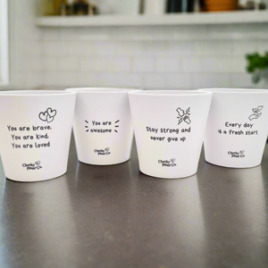 Positive Pots Four Pack - Cheeky Plant Co. Pots - 11cmD x 11cmH