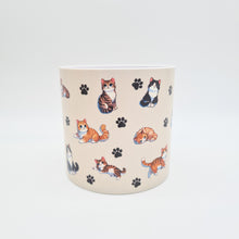 Load image into Gallery viewer, Cheeky Cats - Cheeky Plant Co. Pot -12.5cmD x 12cmH
