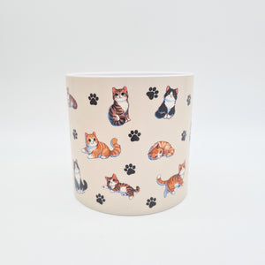 Cheeky Cats - Cheeky Plant Co. Pot -12.5cmD x 12cmH