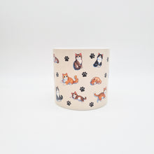 Load image into Gallery viewer, Cheeky Cats - Cheeky Plant Co. Pot -12.5cmD x 12cmH

