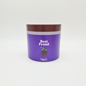 Best Frond - Cheeky Plant Co. Pot -12.5cmD x 12cmH
