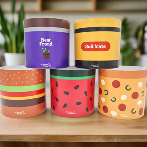 Foodie Pots Five Pack - Cheeky Plant Co. Pots - 12.5cmD x 12cmH