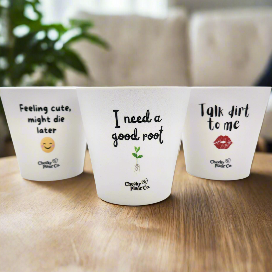 Trio Cheeky Pots Pack - Cheeky Plant Co. Pots - 13.5cmD x 11.5cmH