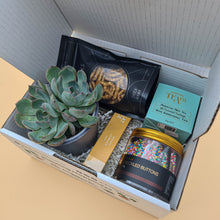Load image into Gallery viewer, Congratulations - Succulent Gift Box
