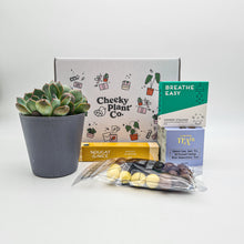 Load image into Gallery viewer, Get Well Soon - Succulent Gift Box

