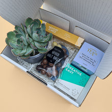 Load image into Gallery viewer, Get Well Soon - Succulent Gift Box
