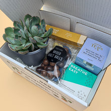 Load image into Gallery viewer, Get Well Soon - Succulent Gift Box
