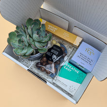 Load image into Gallery viewer, Get Well Soon - Succulent Gift Box
