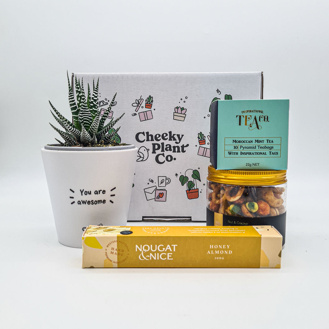 Positive Vibes - Succulent Gift Box