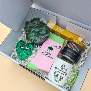 Planty of Love - Succulent Gift Box