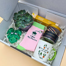 Load image into Gallery viewer, Planty of Love - Succulent Gift Box
