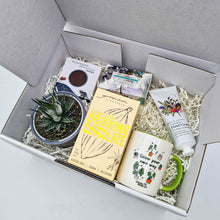 Load image into Gallery viewer, Pamper - Succulent Gift Box

