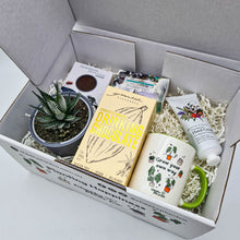 Load image into Gallery viewer, Pamper - Succulent Gift Box
