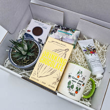 Load image into Gallery viewer, Pamper - Succulent Gift Box
