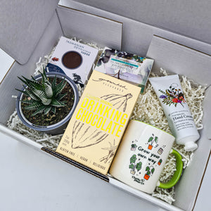 Pamper - Succulent Gift Box