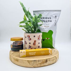 Dog Lovers - Pet Friendly Plant Gift Hamper - Sydney Only