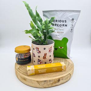 Dog Lovers - Pet Friendly Plant Gift Hamper - Sydney Only