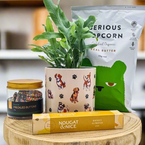 Dog Lovers - Pet Friendly Plant Gift Hamper - Sydney Only
