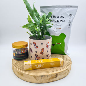 Dog Lovers - Pet Friendly Plant Gift Hamper - Sydney Only