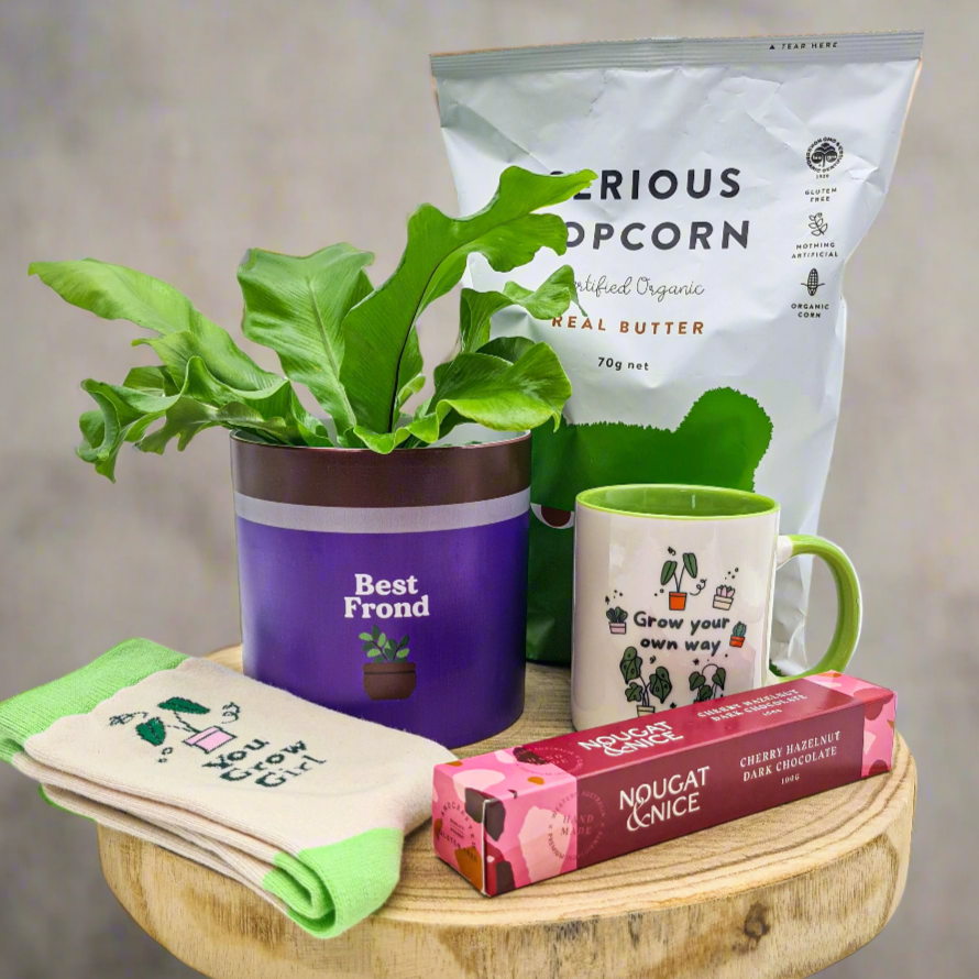 Best Frond Birthday Plant Gift Hamper - Sydney Only