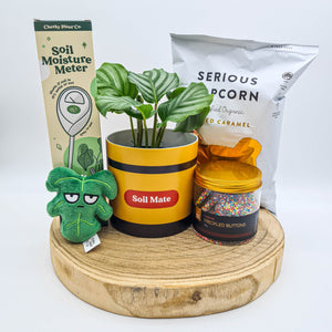 Soil Mate Birthday Plant Gift Hamper - Sydney Only