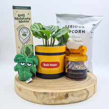 Load image into Gallery viewer, Soil Mate Birthday Plant Gift Hamper - Sydney Only

