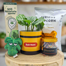 Load image into Gallery viewer, Soil Mate Birthday Plant Gift Hamper - Sydney Only
