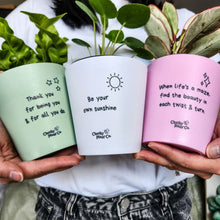 Load image into Gallery viewer, Trio Assorted Indoor Plants in Positive Pots (11cmDx11cmH) - Sydney Only
