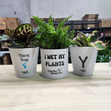 Load image into Gallery viewer, Hoe Pots Pack - Cheeky Plant Co. Pots
