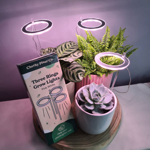 Three Rings Grow Lights - Pink White - Cheeky Plant Co.
