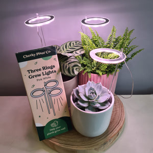 Three Rings Grow Lights - Pink White - Cheeky Plant Co.