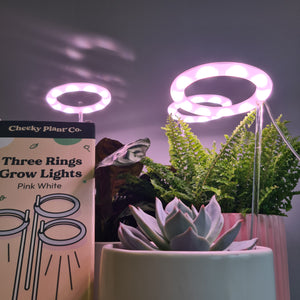 Three Rings Grow Lights - Pink White - Cheeky Plant Co.