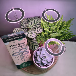 Three Rings Grow Lights - Pink White - Cheeky Plant Co.