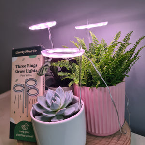 Three Rings Grow Lights - Pink White - Cheeky Plant Co.